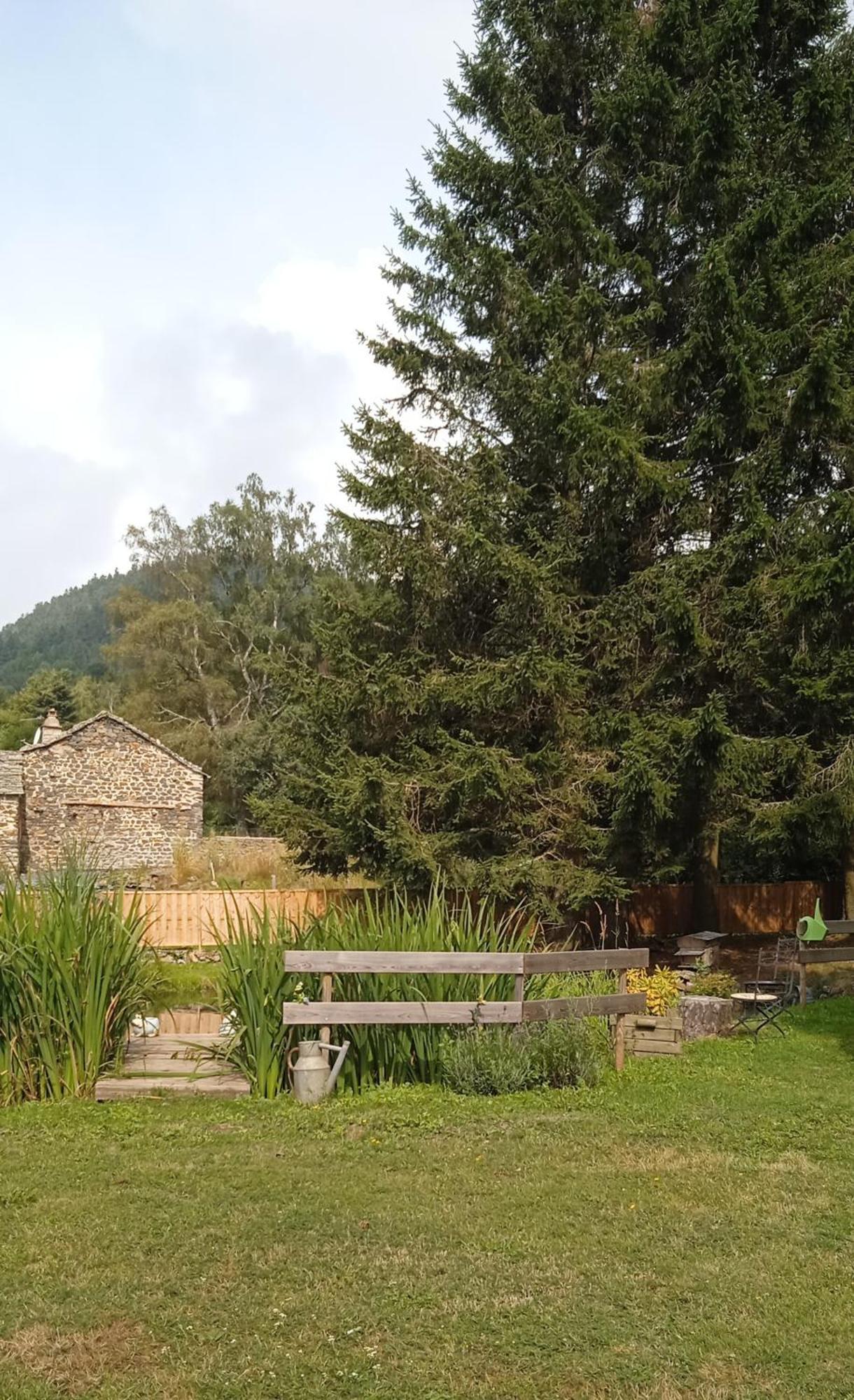 Chalet Grenouille Domaine De La Mamounette Champclause Exterior foto