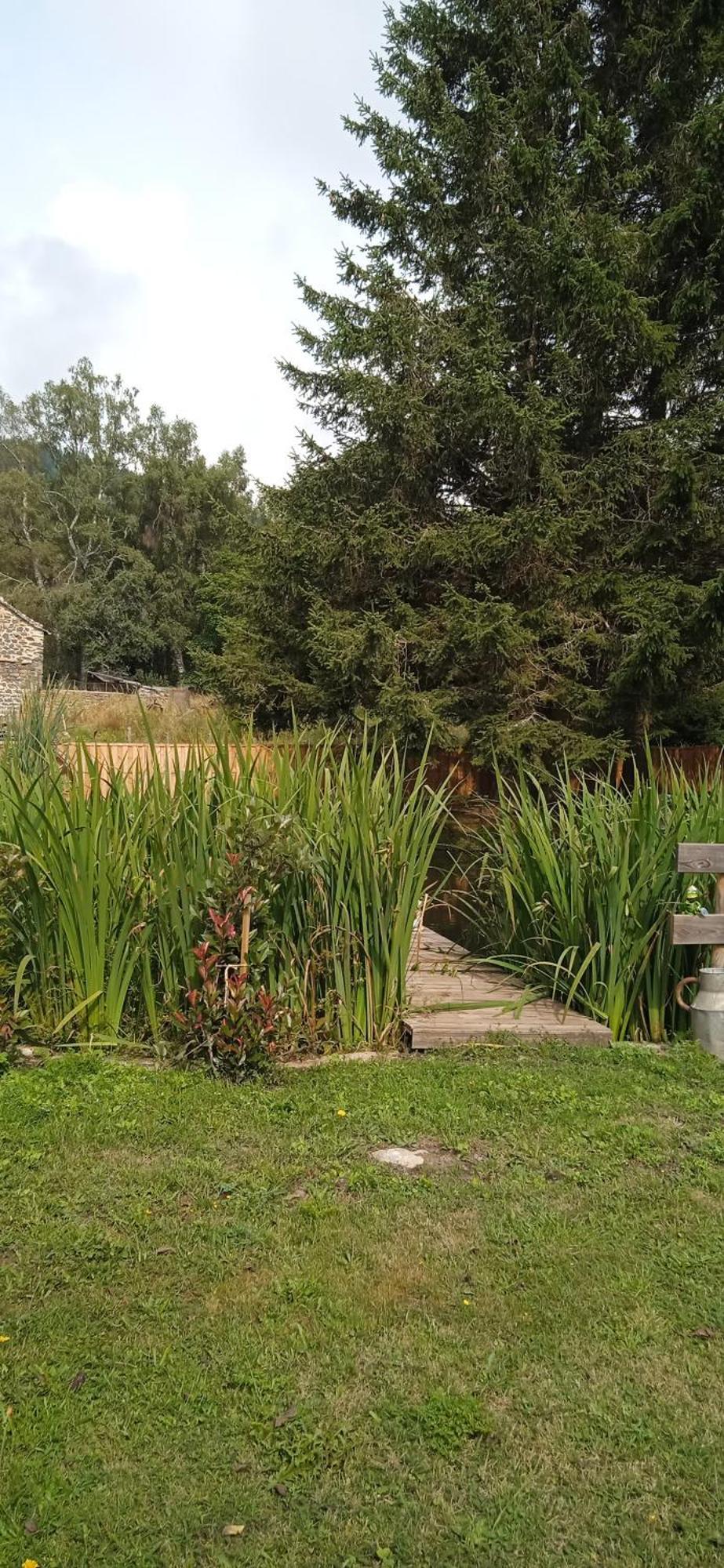 Chalet Grenouille Domaine De La Mamounette Champclause Exterior foto